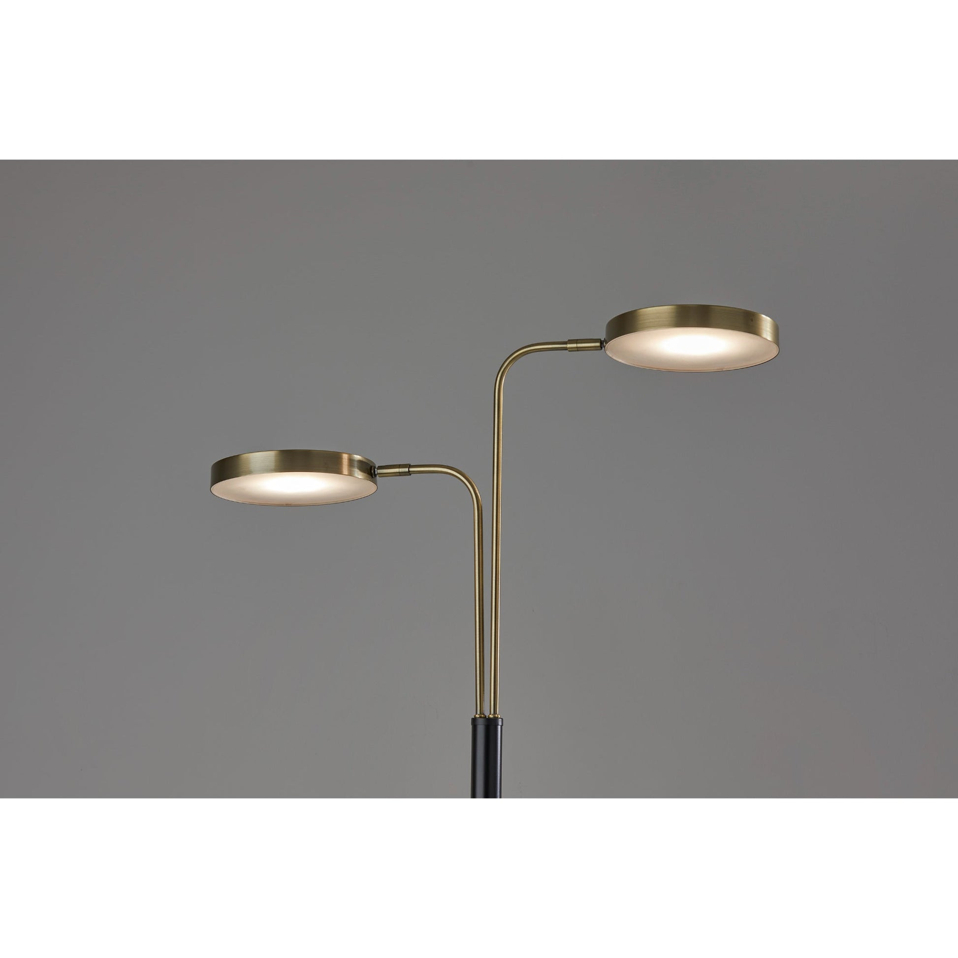 Drake LED Floor Lamp with Smart Switch