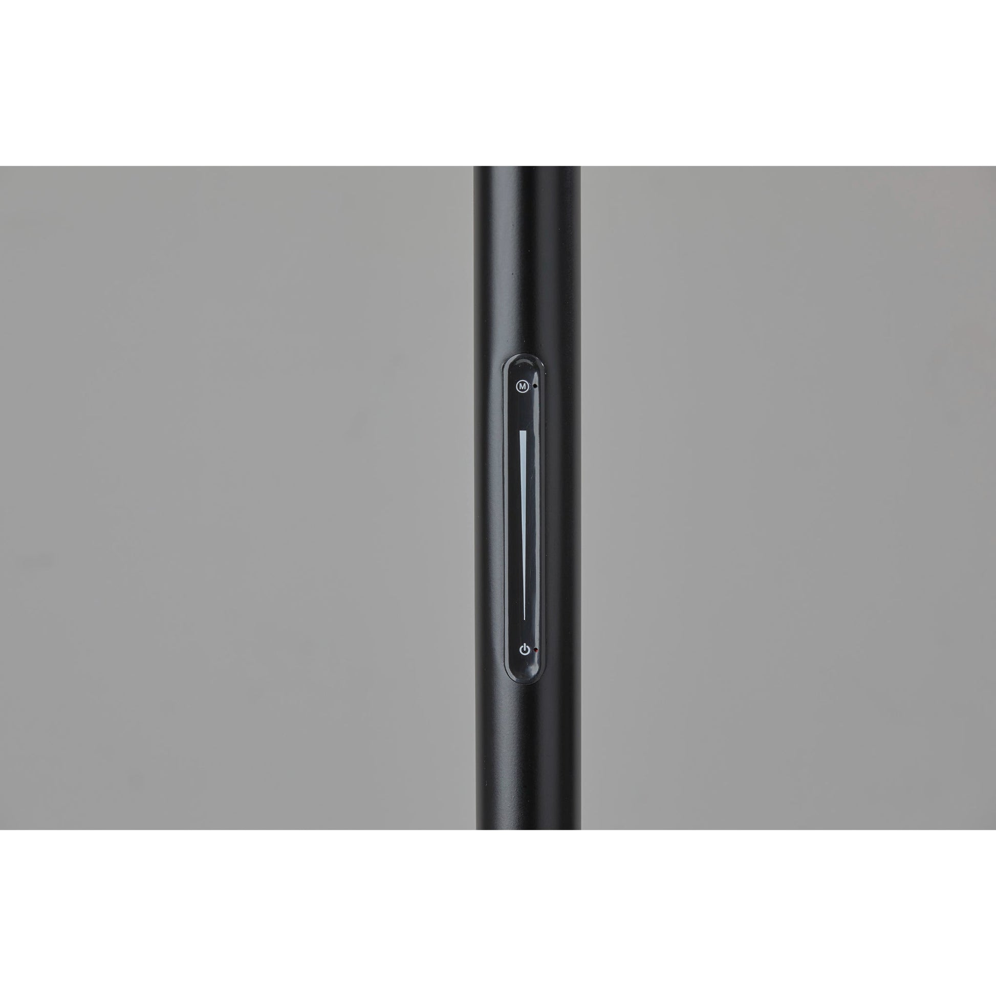 Drake LED Floor Lamp with Smart Switch