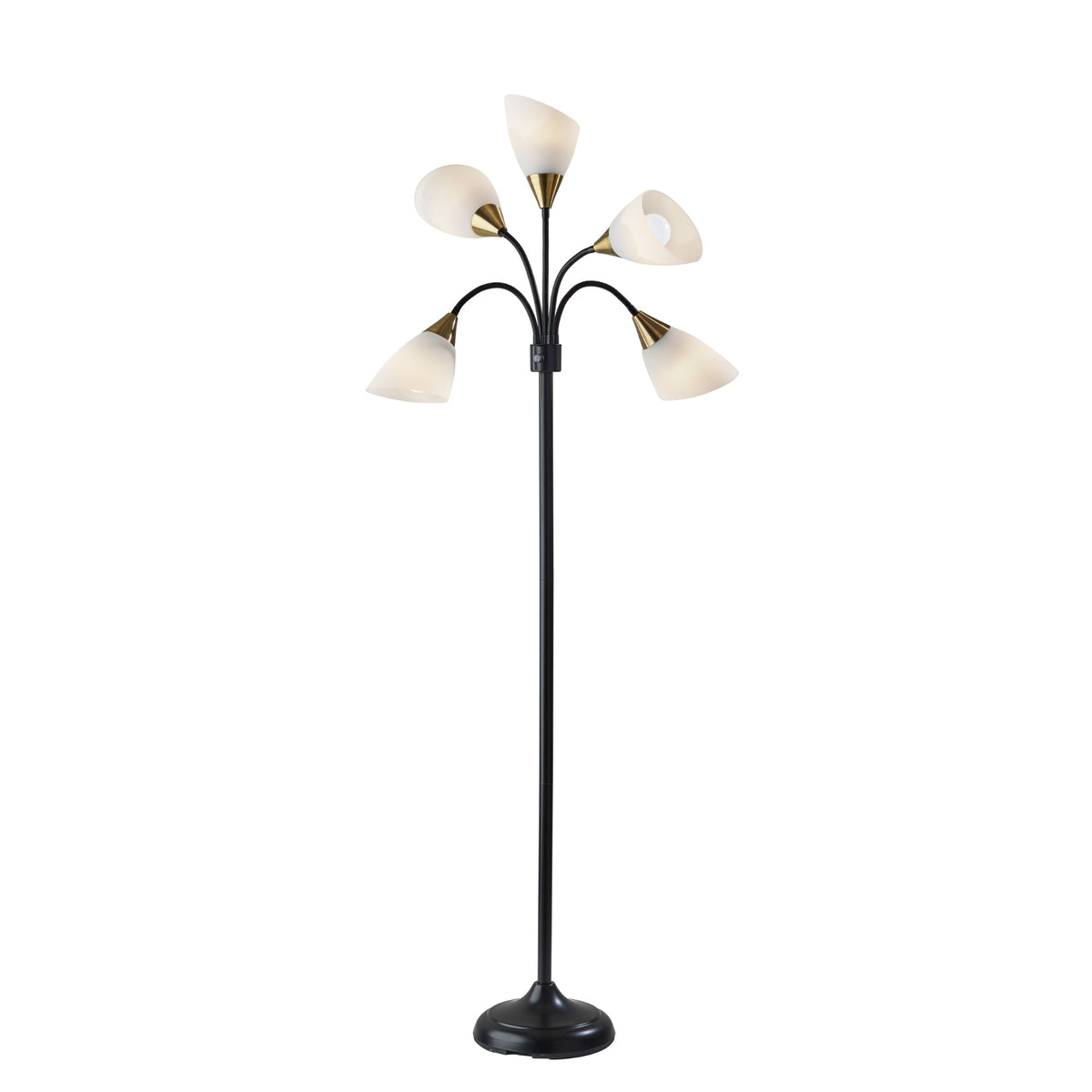 Gooseneck Floor Lamp