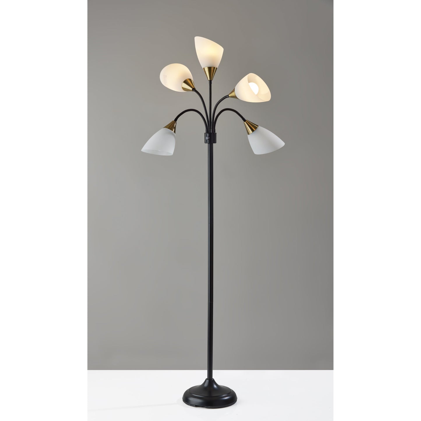 Gooseneck Floor Lamp