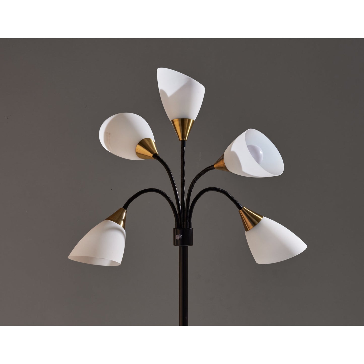 Gooseneck Floor Lamp