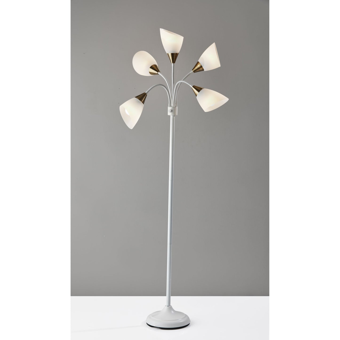 Gooseneck Floor Lamp