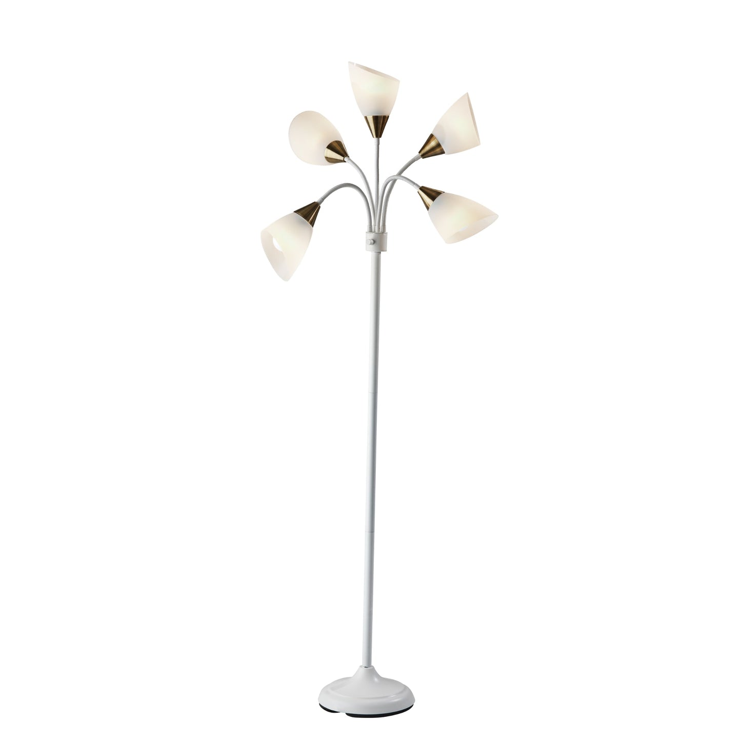 Gooseneck Floor Lamp