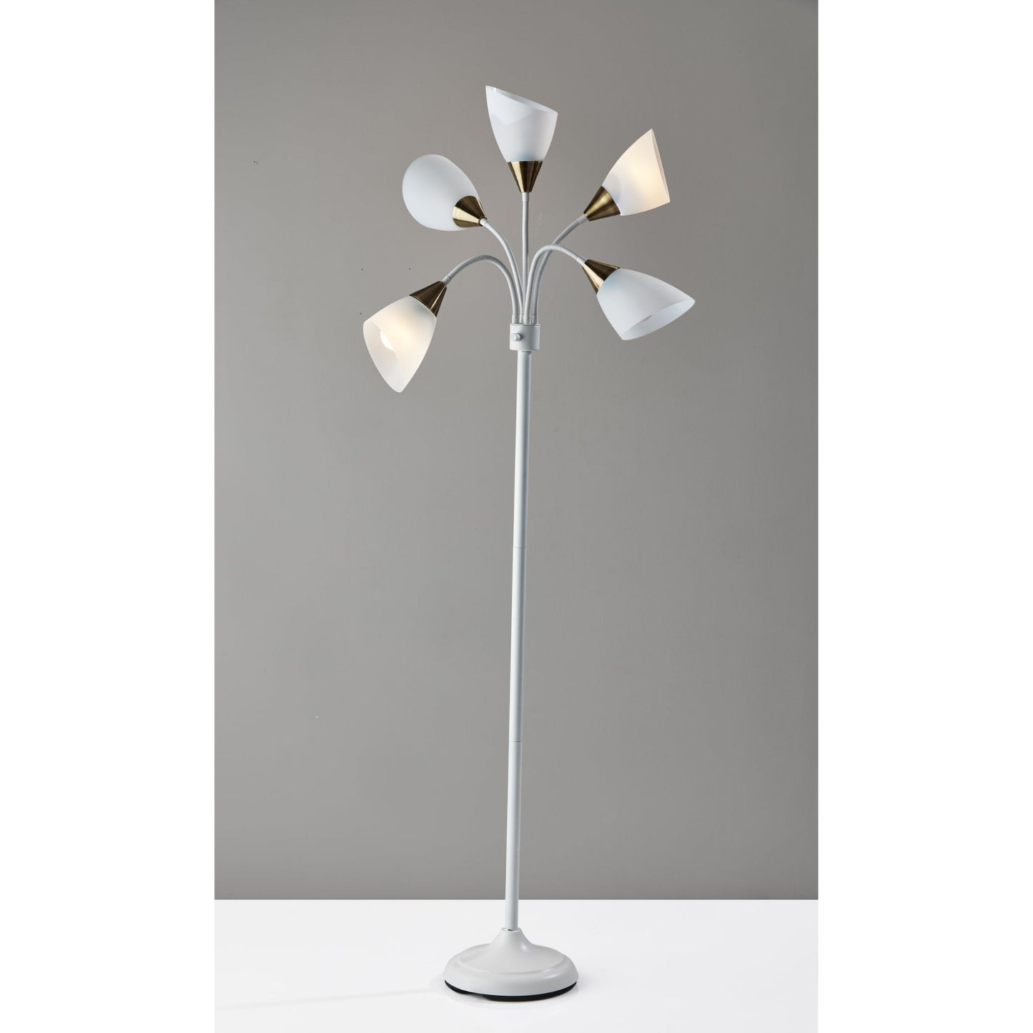 Gooseneck Floor Lamp