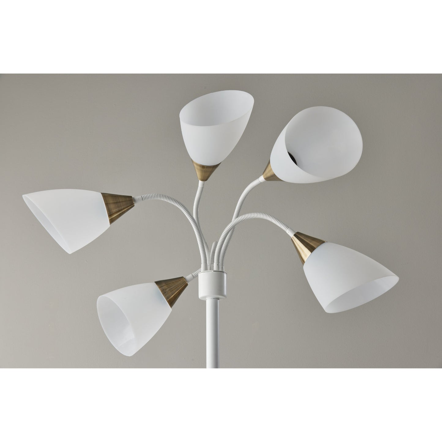 Gooseneck Floor Lamp